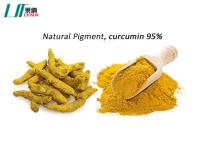 Turmeric root extract  curcumin  95%  HPLC 