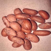 Garcinia Kola (Bitter Kola)
