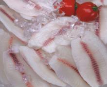 High Quality & Healthy Frozen Tilapia Fillets Deep Skinned