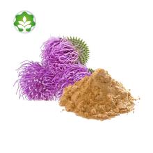milk thistle dry silymarin uv 80 medicines for kidney treatment
