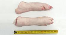 Pork hind feet with toes at ow prices