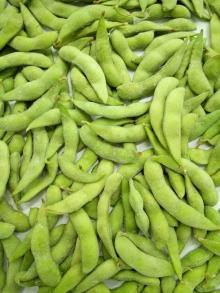IQF Whole Edamame Conventional and Organic