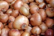 Fresh Onions