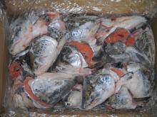 Frozen Atlantic Salmon heads, V-Cut from Chile