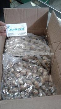 Frozen Top Shell Exporter