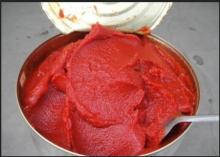 Canned Tomato Paste with Favourable Price