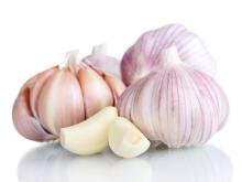 Fresh Garlic