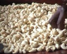 High Quality Cashew Nuts