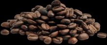 Best seller Coffee beans High Quality Vietnam