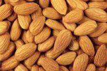 Good Quality grade ordinary almond kernel best price