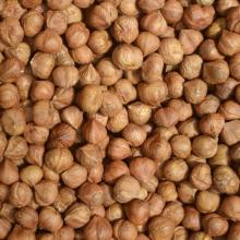 Good quality grade Hazelnuts best price