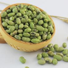 Dried roasted edamame hot seller  Kosher  certificated