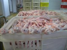 Halal Grade A Chicken Feet / Frozen Chicken Paws