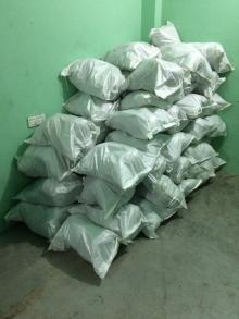 Natural Fresh Coconut for wholesale from Brazil