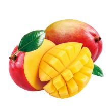 mango from Brazil suppliers,exporters on 21food.com