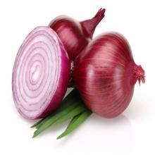 fresh red onions ,fresh garlic/ginger manufacturer in Brazil onions packing/Best Natural Fresh On