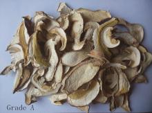  Dried   Boletus  edulis