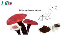 Reishi Mushroom Powder Extract For Boosting Immunity