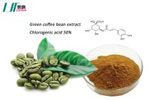 Green coffee bean extract for weight loss
