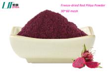 Freeze dried pink  pitaya  fruit powder