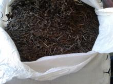  grass   jelly 