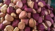 KOLA NUT