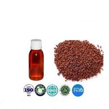 Pure Natural Organic Seabuckthorn Seed Oil