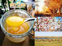 Pure wild flower Honey from China Raw Organic honey