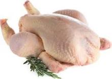 Halal Frozen Whole Chicken, Chicken Feet, Chicken Wings