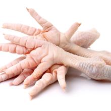 Chicken Frozen Feet and Paws for wholesale
