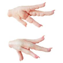 Grade A and Premium Grade Processed Chicken feet / Paws/ wings