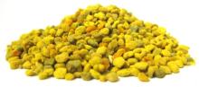  Bee   Pollen   Granules 