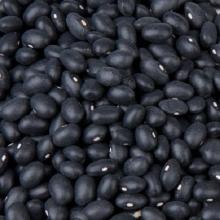 high quality grade black beans low price