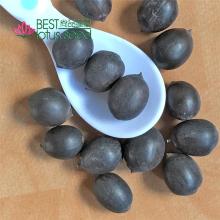 Black Iron Shell Lotus Seed Nut Kernel Lotus Extract Manufacture Wholesaler Exporter Supplier