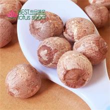 Dried Red Lotus Seed Nut Kernel with Core Plumele Lotus Extract Manufacture Wholesaler Supplier