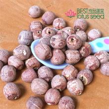 Dried Red Lotus Seed Nut Kernel without Core Plumele Lotus Extract Manufacture Wholesaler Supplier