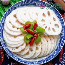 Fresh Frozen Sliced  Lotus   Root  Chips Rhizome Slices Vegetable Manufacture Wholesaler Exporter Suppli