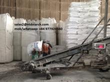 Pregelatinized starch
