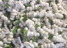 2018 Best Quality Fresh white  Garlic   Price  In  China 