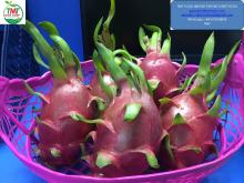 DRAGON FRUIT