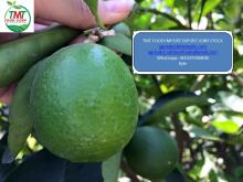 seedless lime