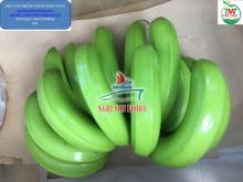 Fresh Cavendish Banana