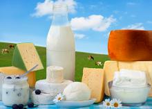 Nisin India - Dairy Preservative