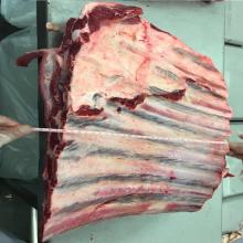 Rib Flank / 9-11 ribs - FROZEN BONE-IN BEEF - Beef Brazil - CFR Hong Kong