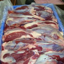Premium Quality Halal Frozen Boneless Beef/Buffalo Meat for sale