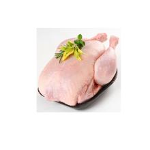 Grade A Frozen Whole Chicken - Halal Whole Frozen Chicken - Feet - Drumsticks and Other Parts