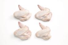 Halal Frozen whole chicken and parts for wholesale