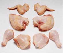 Halal & Fresh Chicken feet, chicken cutting parts, Processed chicken feet type frozen
