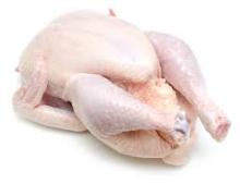 Halal Brazilan Frozen Whole Chicken / Chicken Feet / Wings and other Parts