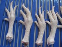 Halal Grade A Chicken Feet / Frozen Chicken Paws for good offer